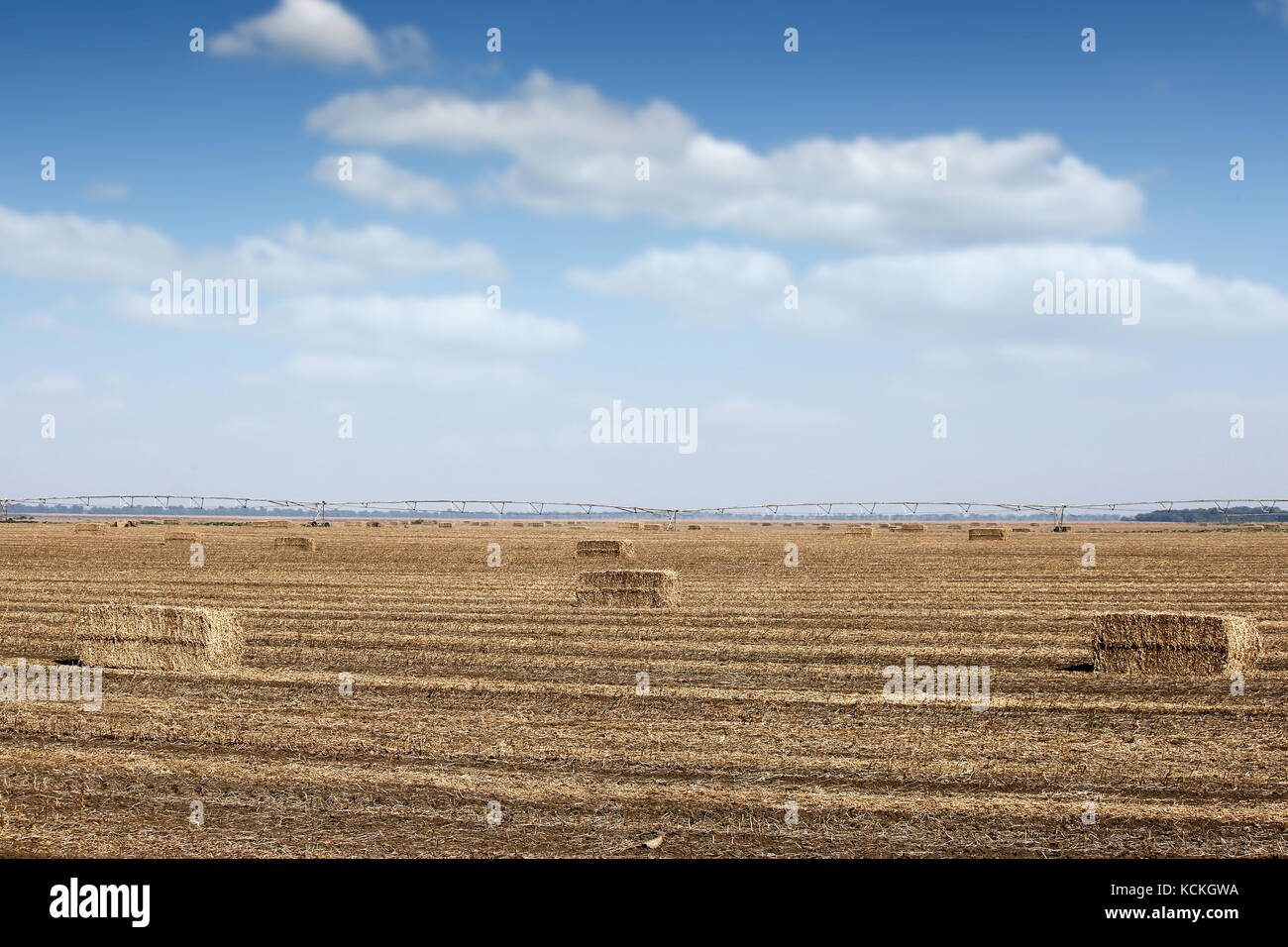 Le ballot de paille et centre du pivot du système sprinkleur sur terrain Banque D'Images