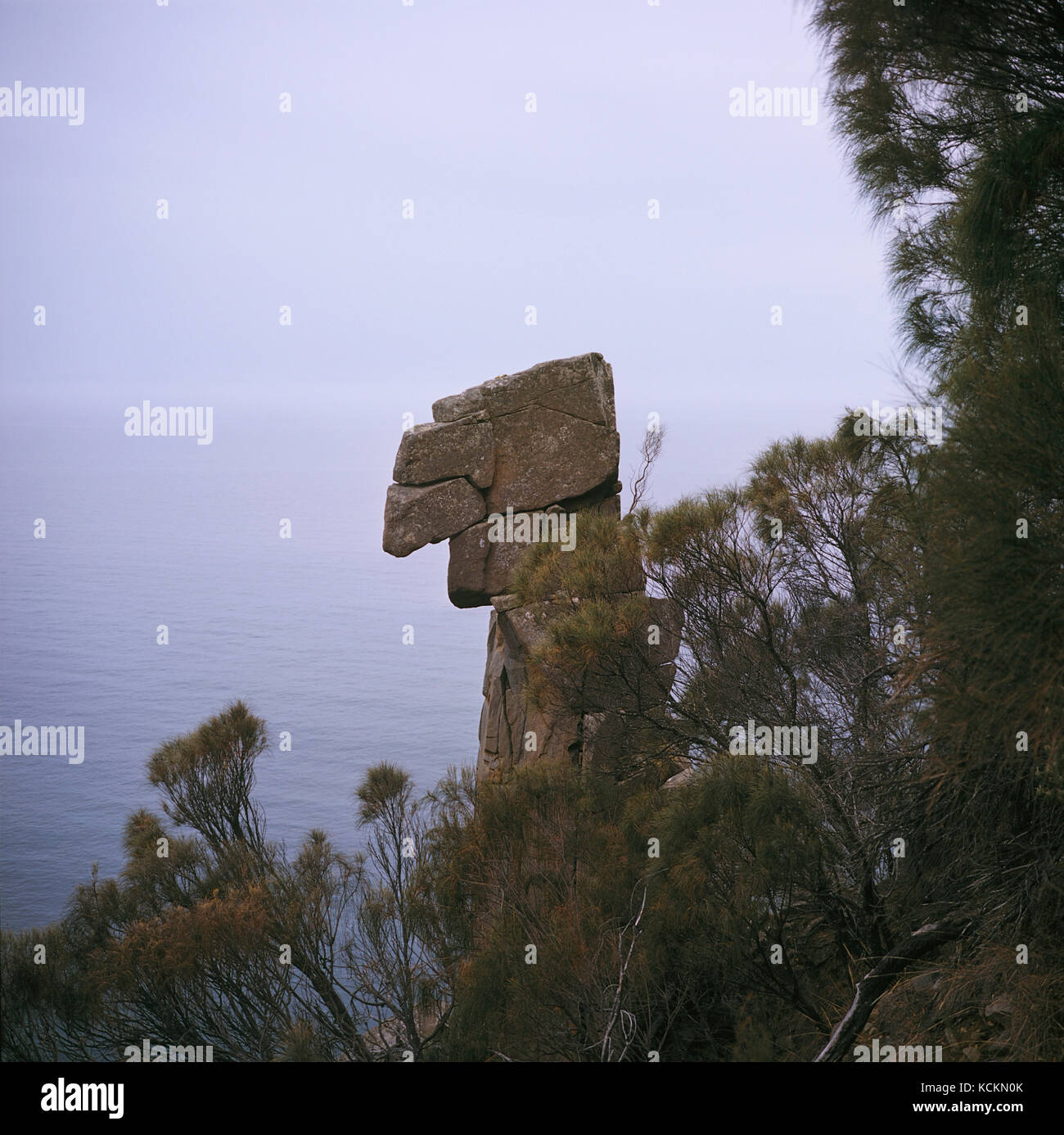 Cape cannelée, colonne de dolérite érodée. South Bruny National Park, South Bruny Island, Tasmanie, Australie Banque D'Images