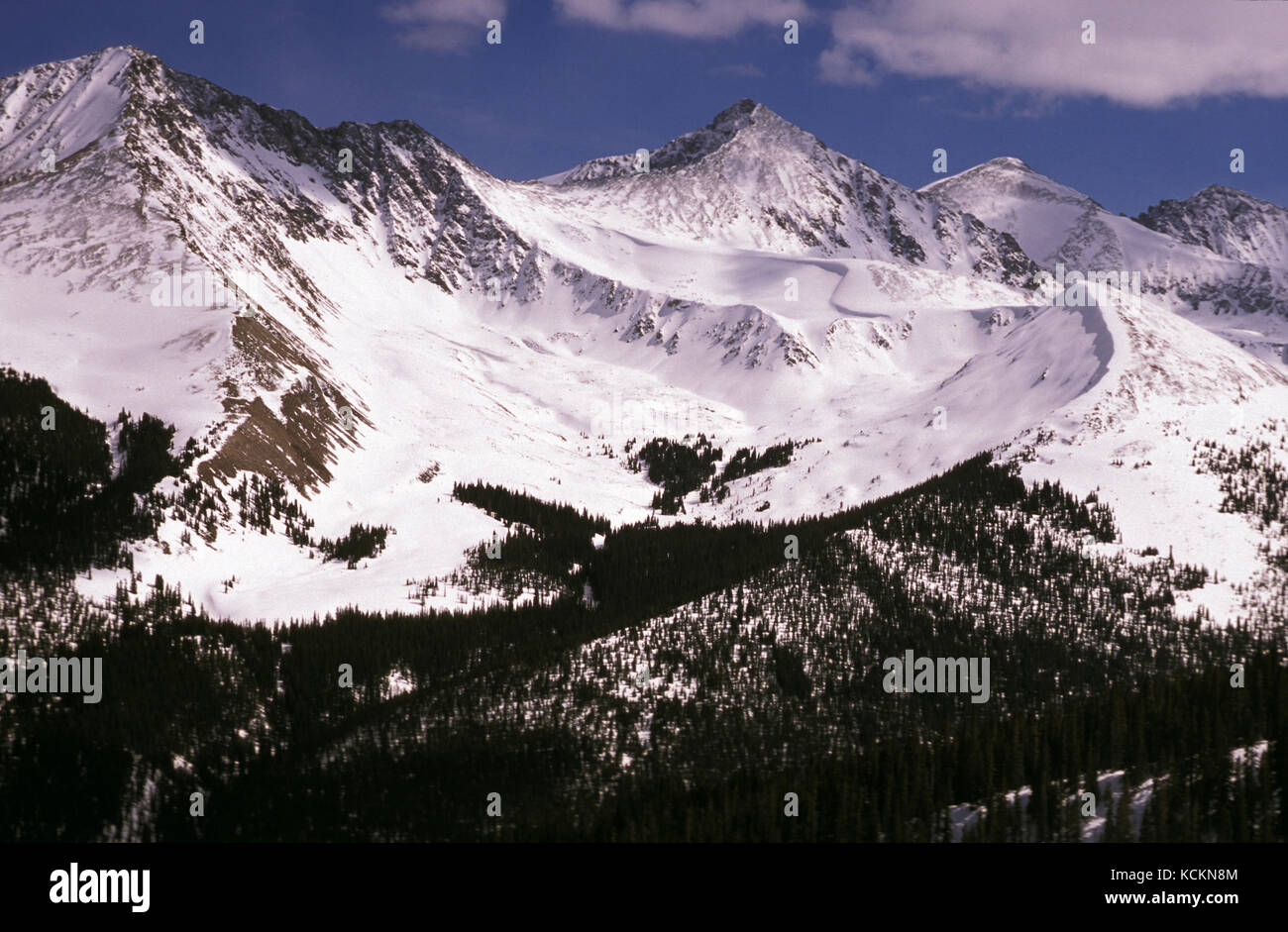 Tenmile Range, pic le plus élevé de 4348 m, Rocky Mountains, Summit County, Colorado, États-Unis Banque D'Images