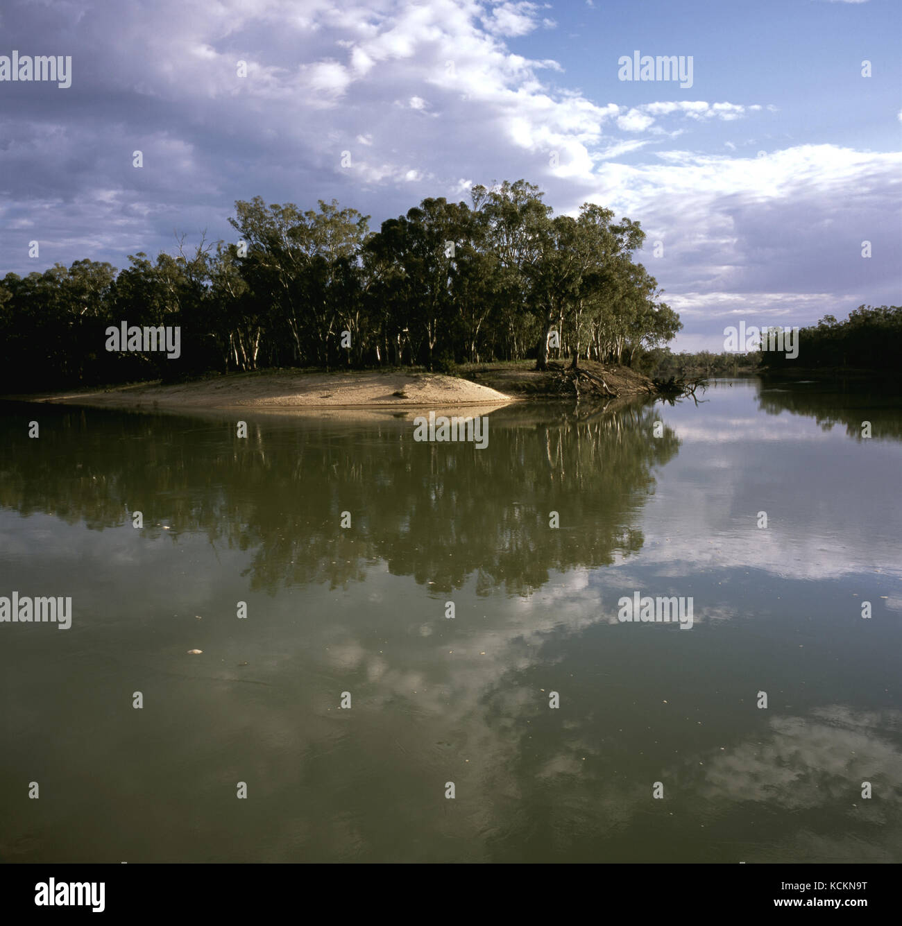 Murray River, parc national de Hattah-Kulkyne, nord-ouest de Victoria, Australie Banque D'Images