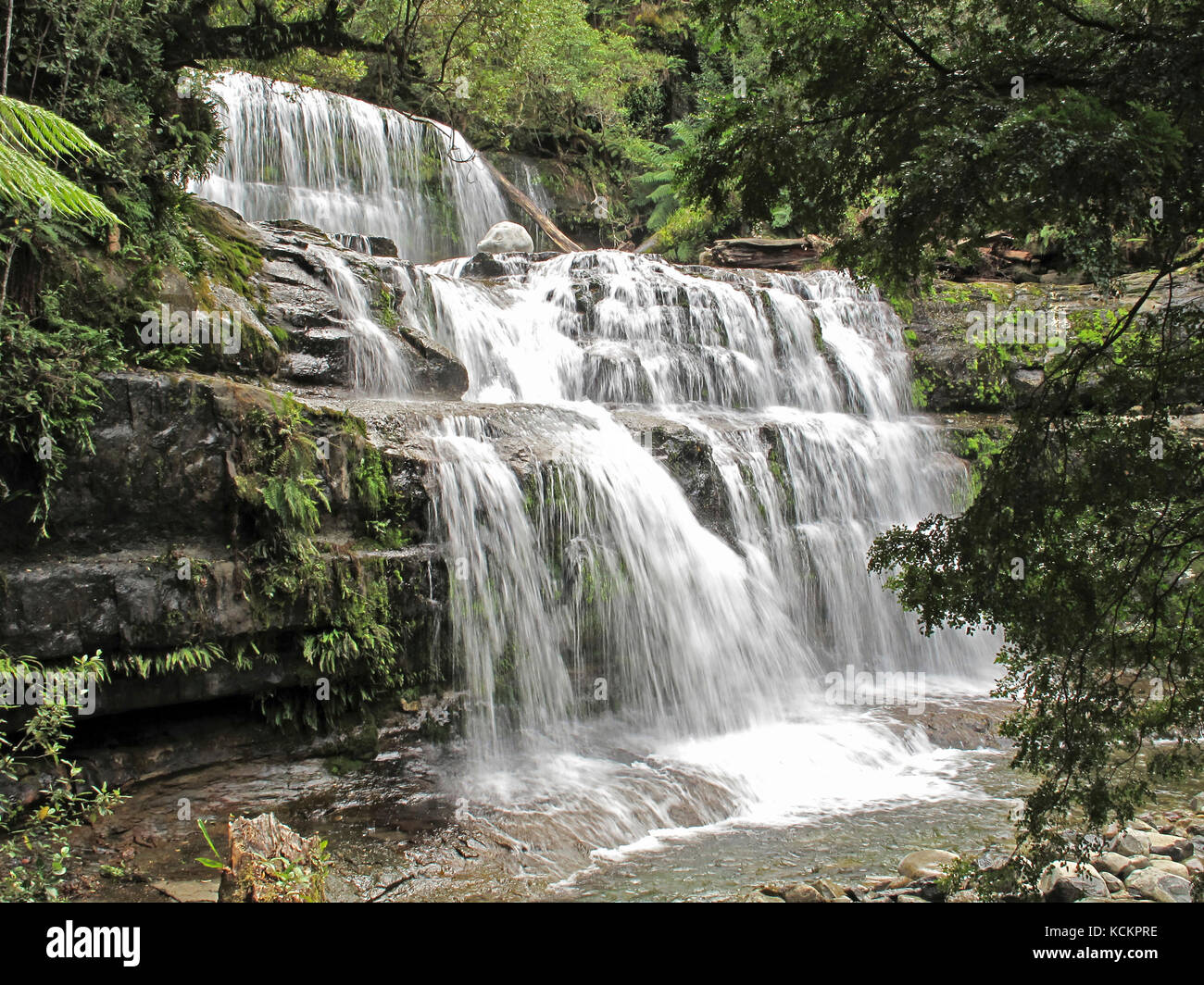 Liffey Falls, réserve d'État de Liffey Falls, Great Western tiers, Tasmanie, Australie Banque D'Images