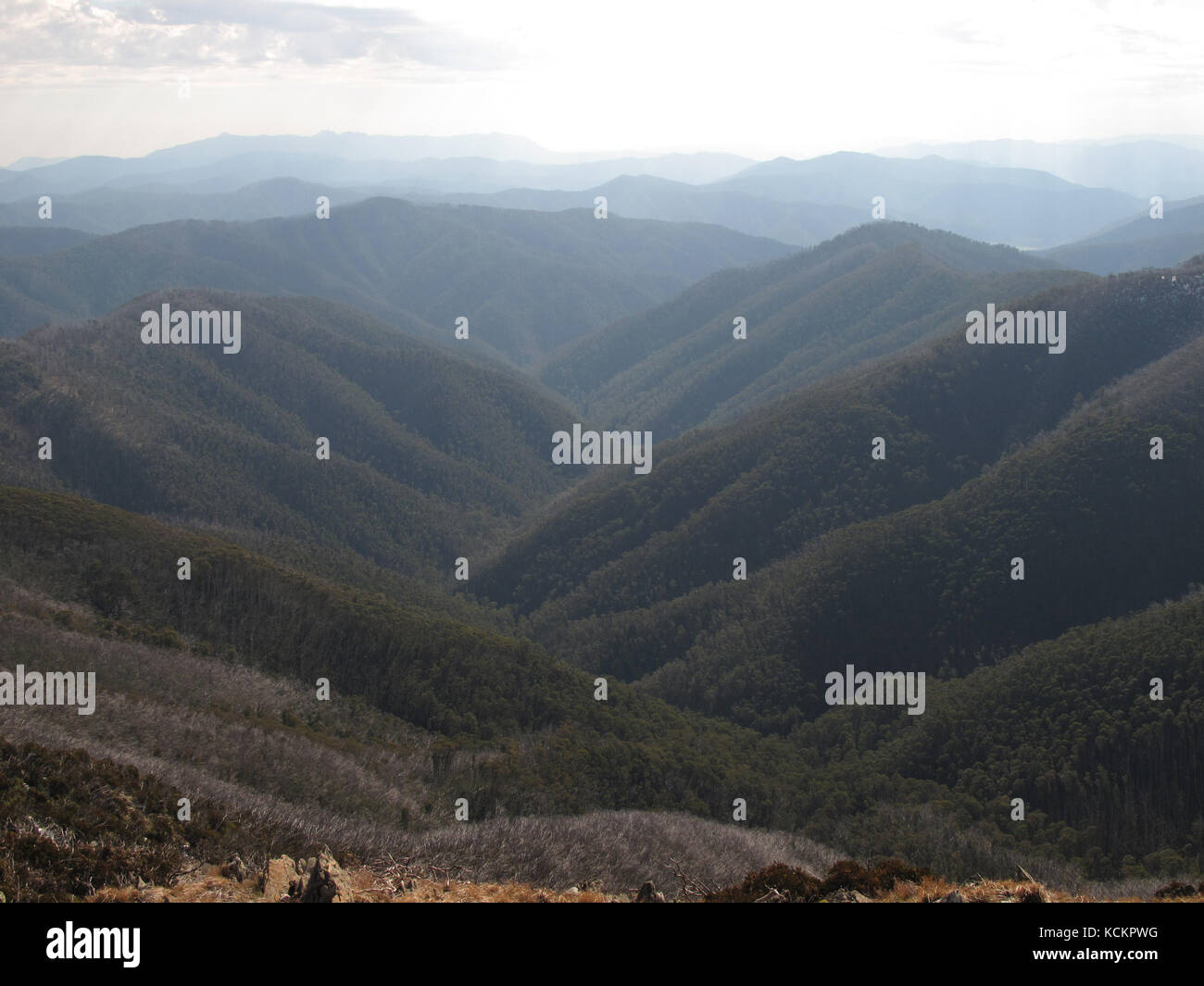 Mount Hotham Area vista, printemps. Parc national alpin, Victoria, Australie Banque D'Images