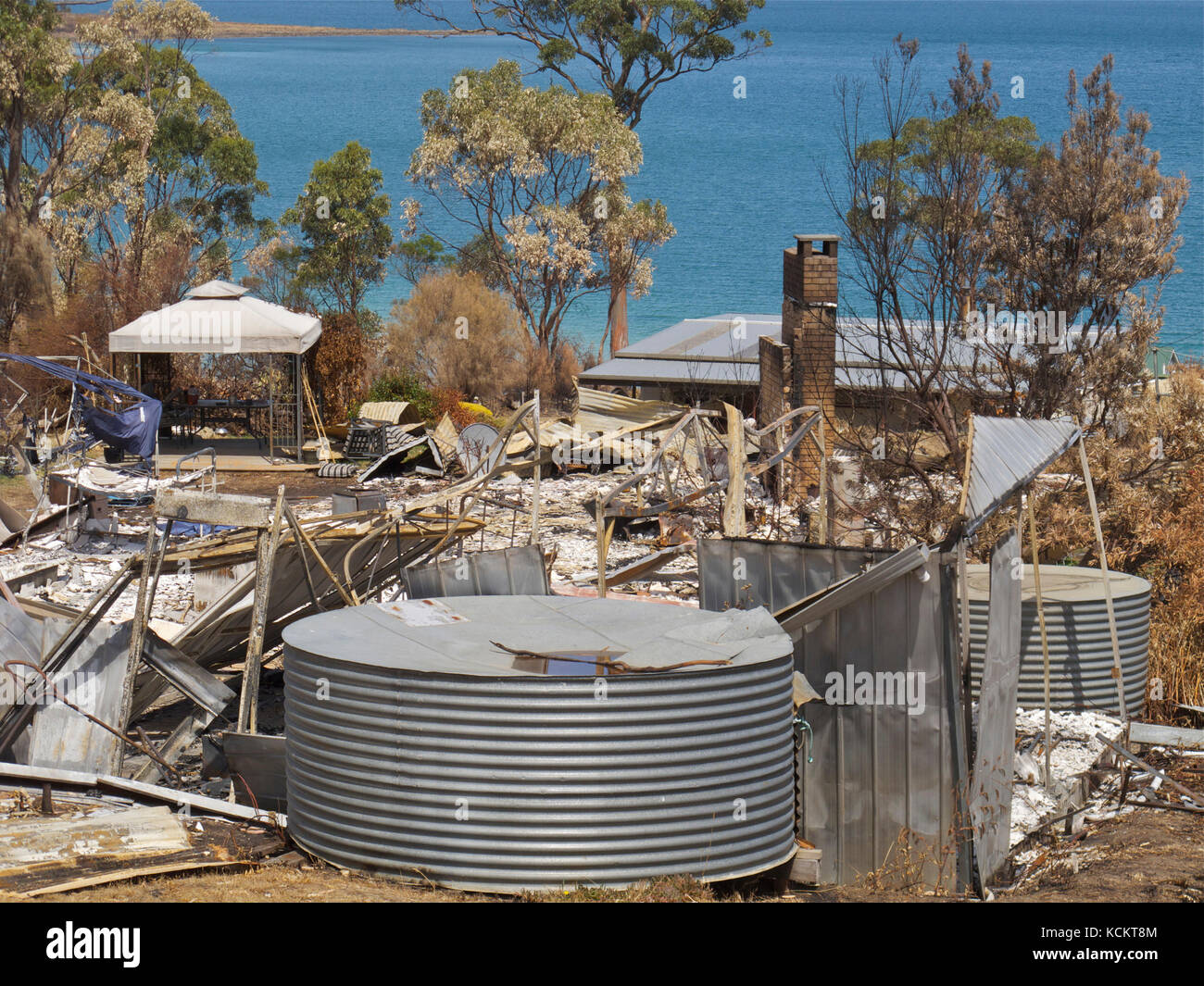 Un feu de brousse catastrophique qui se déplace rapidement le 4 janvier 2013 a laissé certains arbres non gravement endommagés, contrairement à de nombreuses maisons. Connellys Marsh, sud-est de la Tasmanie, Banque D'Images
