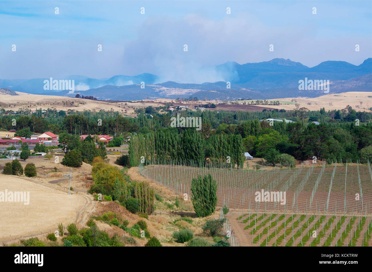 Au-delà des champs de désespoir, des nuages de fumée provenant des feux de brousse dans la région de Molesworth au loin sont soufflés sur la chaîne Wellington en direction de Hobart. Banque D'Images