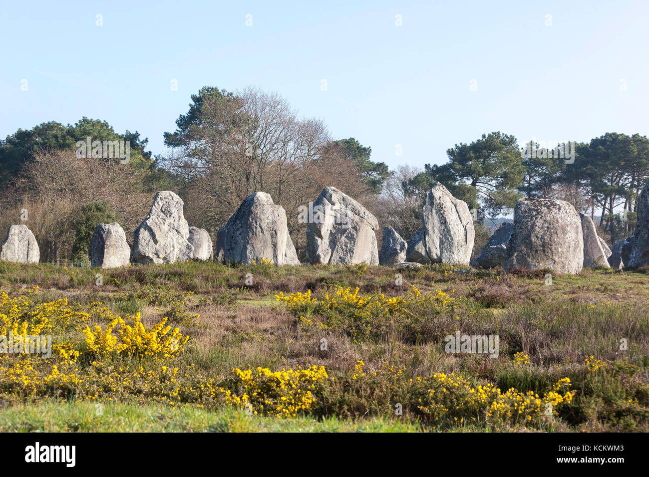 Carnac (Bretagne, Ouest France) : alignements de menhirs, cromlech de Kerlescan Banque D'Images
