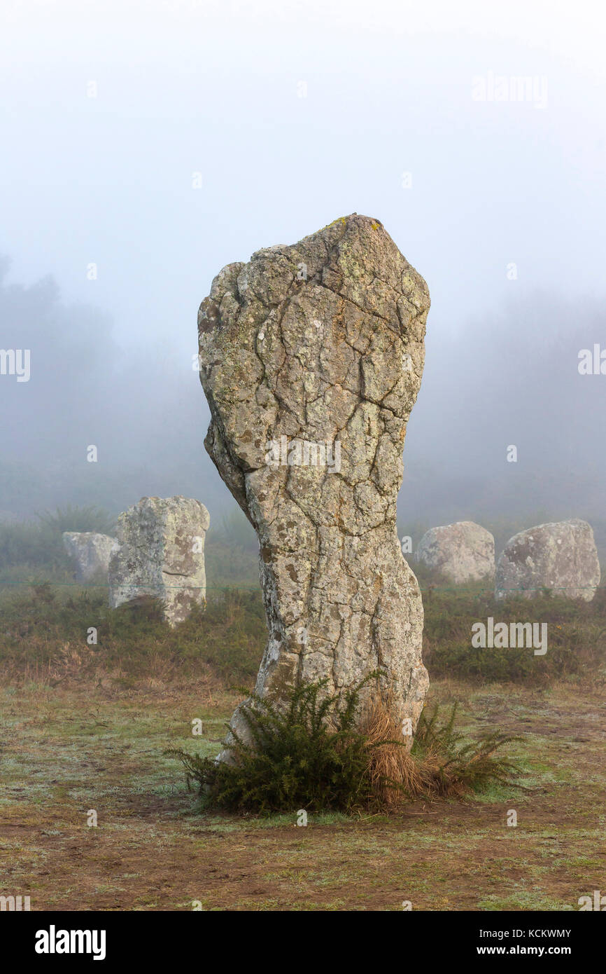 Carnac (Bretagne, Ouest France) : alignements de menhirs, cromlech de Menec Banque D'Images
