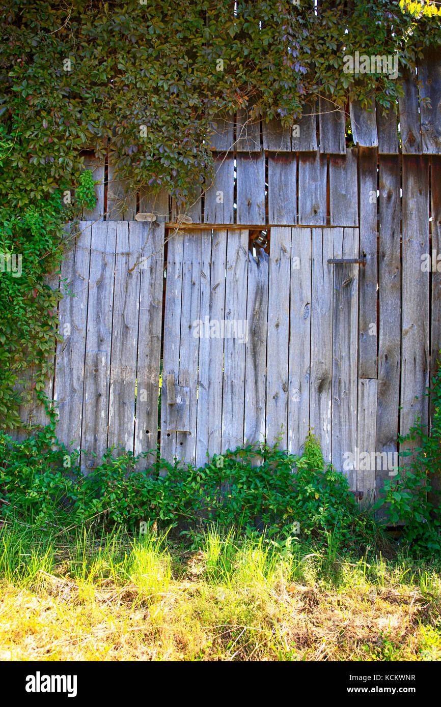 Portes en bois sur une ancienne grange au large de Green Grove Rd près de Hartsville, Tennessee USA Banque D'Images