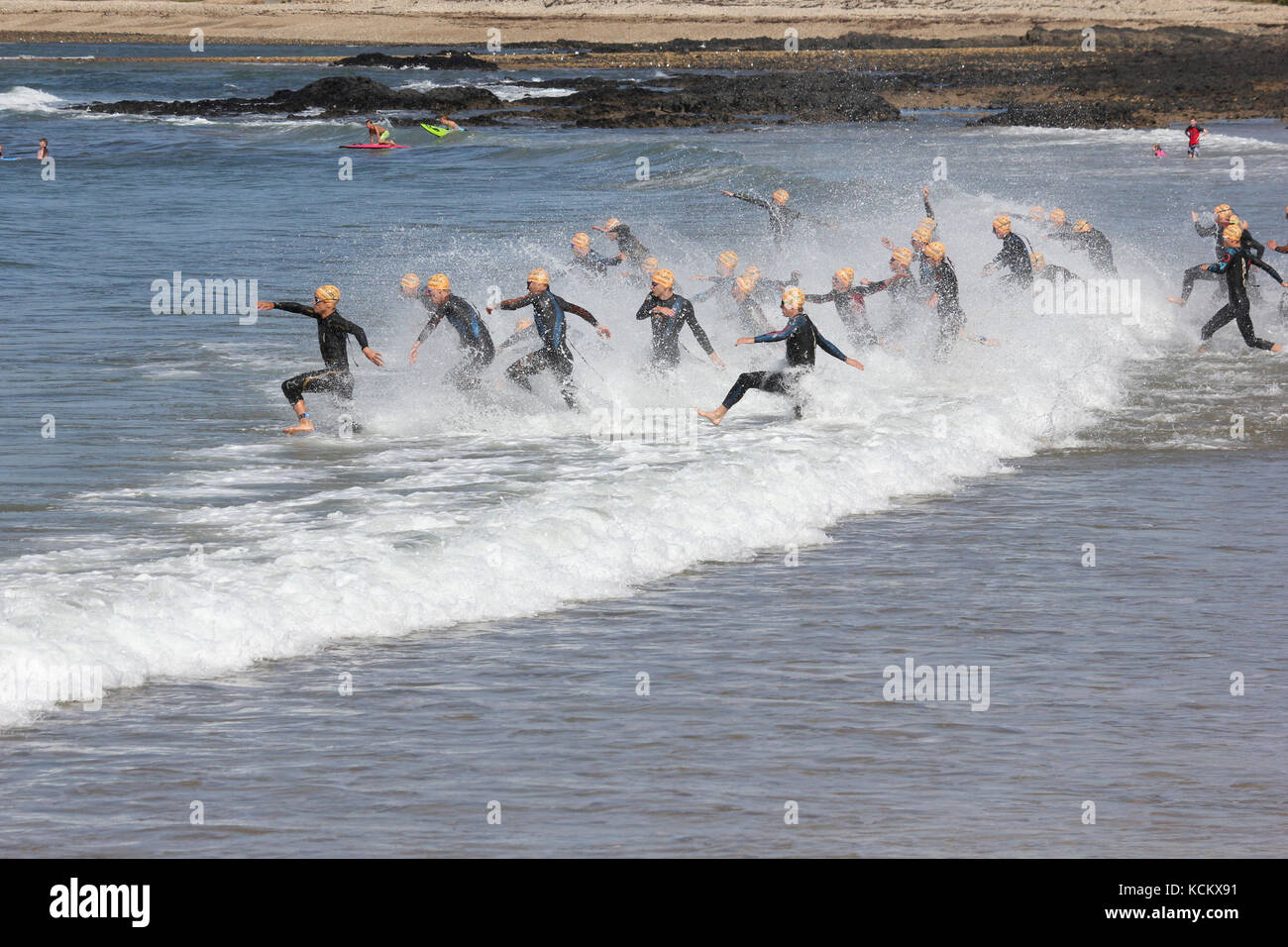 Les concurrents du Triathlon Devonport entrent dans la mer à Mersey Bluff. L’un des plus grands triathlons d’Australie et l’un des plus anciens, qui se tient chaque année depuis 198 Banque D'Images