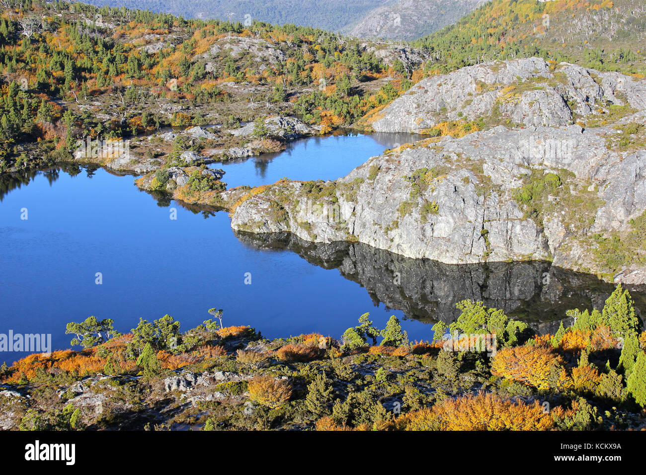 Twisted Lakes en automne avec des sangsues décidues (Fuscospora gunnii) de couleur automnale. La roche est glaciée quartzite. Cradle Mountain-Lake St clair Na Banque D'Images