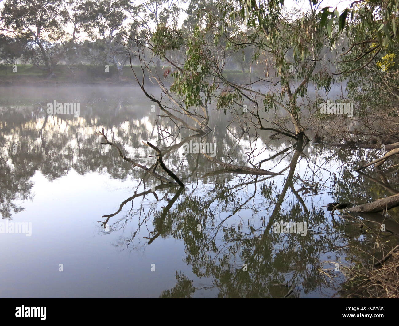 Tôt le matin sur la rivière Goulburn, pêche, canotage et destination de vacances au bord de la rivière. Seymour, centre de Victoria, Australie Banque D'Images