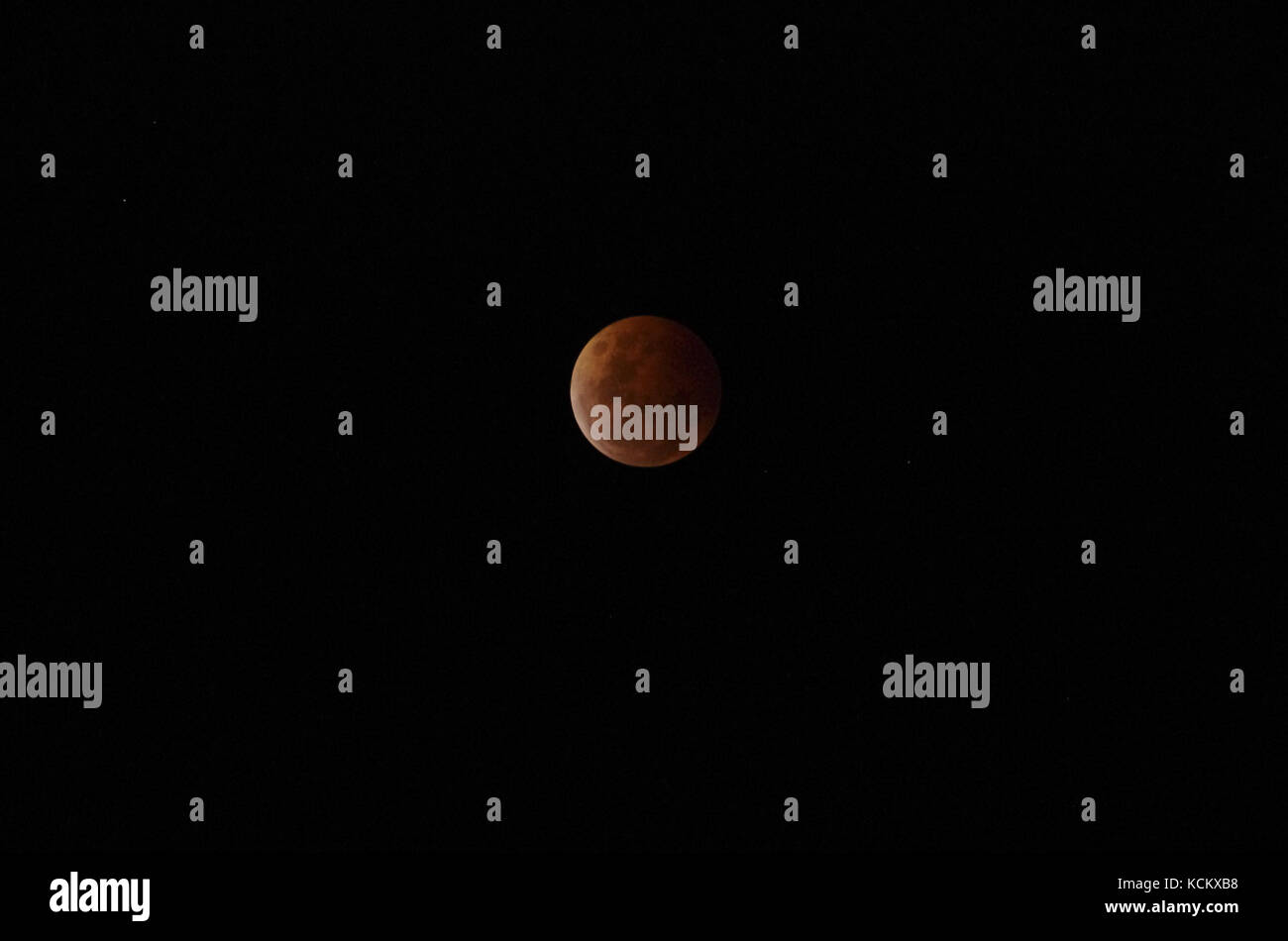 Lunar eclipse, 8 octobre 2014, une des six images de la série. L'éclipse a commencé à 7,15 h, était totale à 8,55 h et s'est terminée à 10,35 h. Il est toujours o Banque D'Images