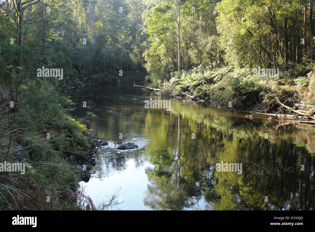 Leven River, au sud d'Ulverstone, au nord-ouest de la Tasmanie, en Australie Banque D'Images