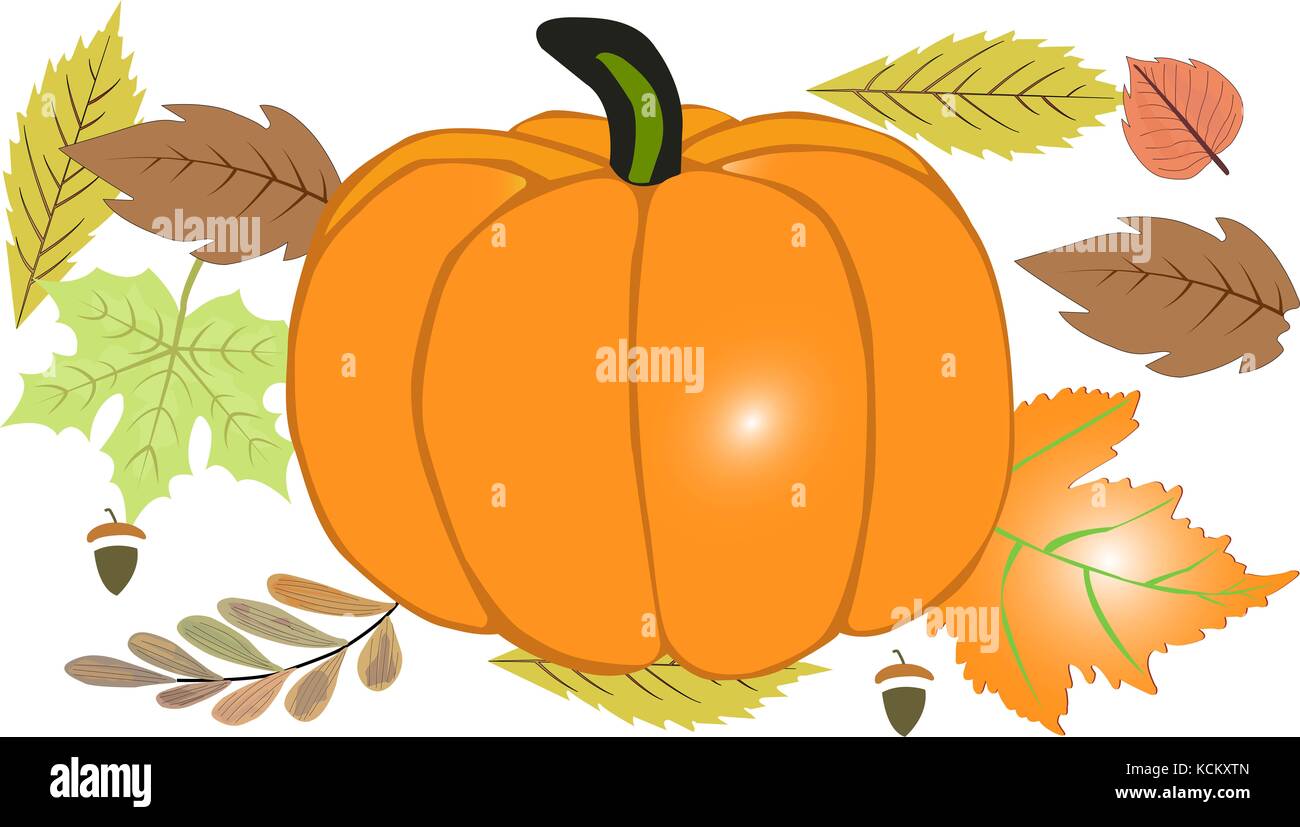 Carte De Vœux 3D Joyeux Thanksgiving - Décoration Citrouille Avec Enveloppe - Cadeau Personnalisé Fête - 8