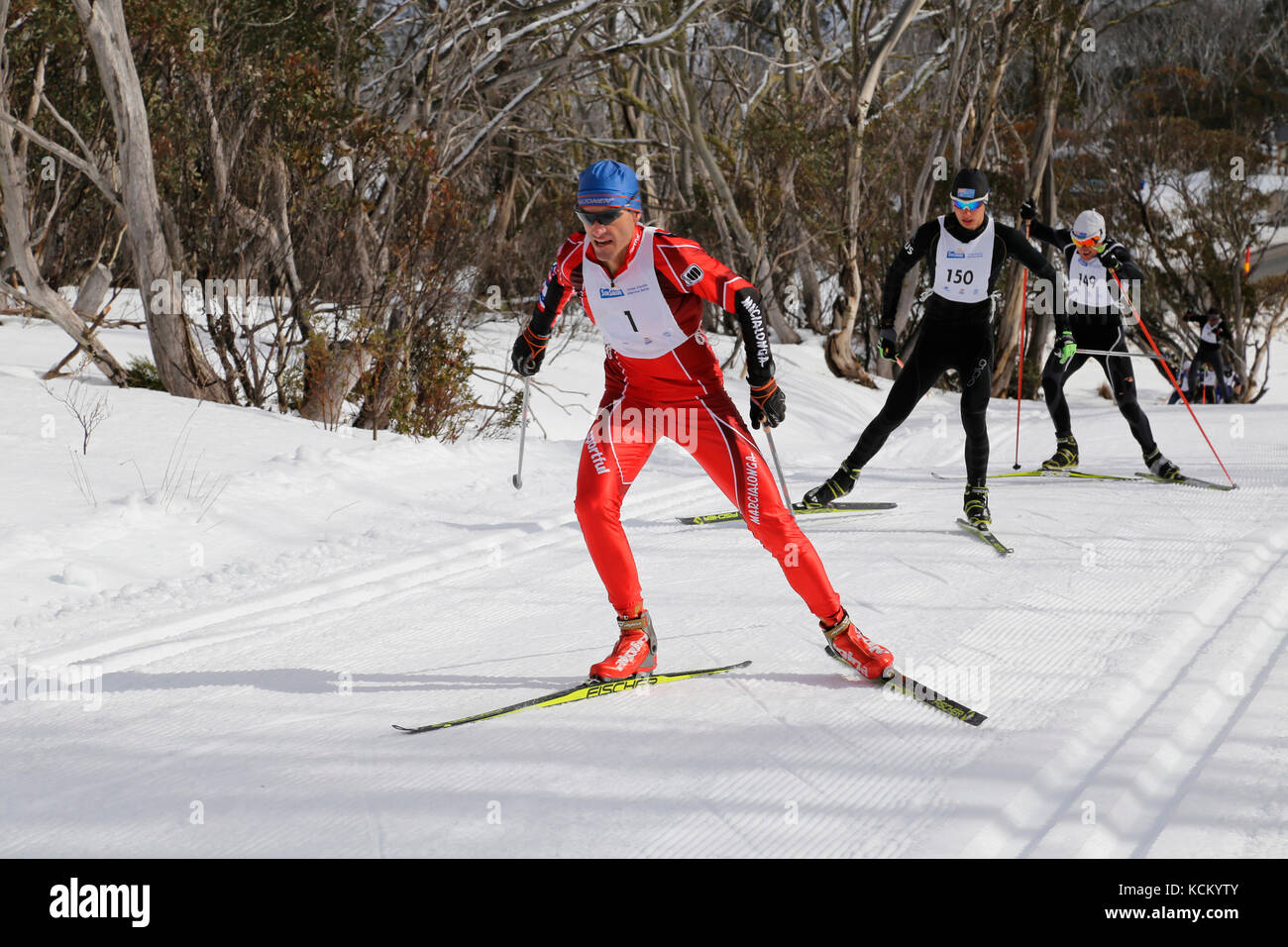 Principaux concurrents de la course annuelle de ski nordique, Pub to Pub Wire Plain, Alpes victoriennes, Victoria, Australie Banque D'Images