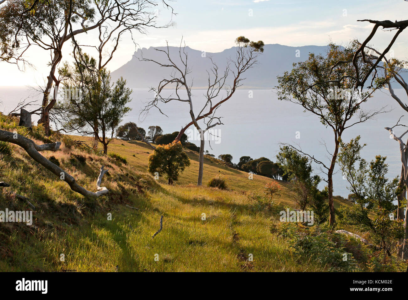 Vue sur l'île Maria à environ 10 km de l'autre côté du passage Mercury depuis la pointe nord de la baie d'Okehampton, près de Triabunna, côte est de la Tasmanie, Australie Banque D'Images