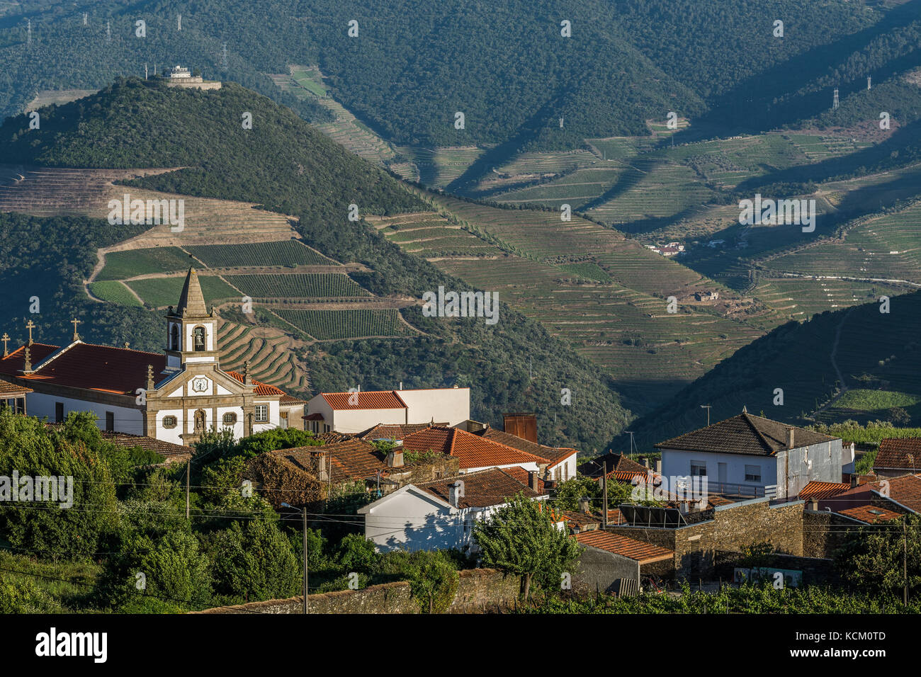 Provesende, Vallée du Douro, Portugal Banque D'Images