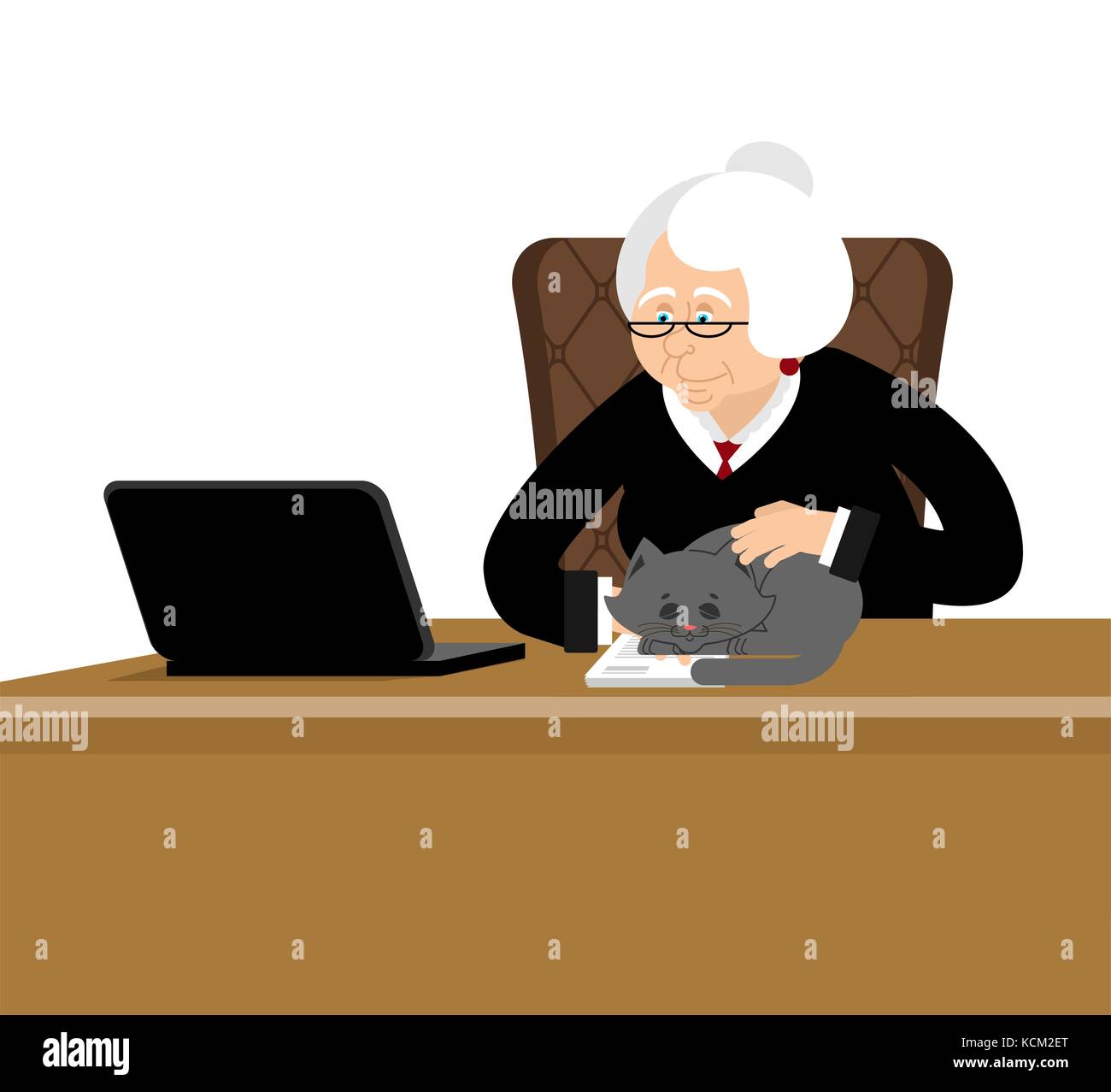 Grand Mere Femme D Affaires Ordinateur Portable Et Chat Cas Et D Affaires De Meme Lieu De Travail Le President Vector Illustration Image Vectorielle Stock Alamy