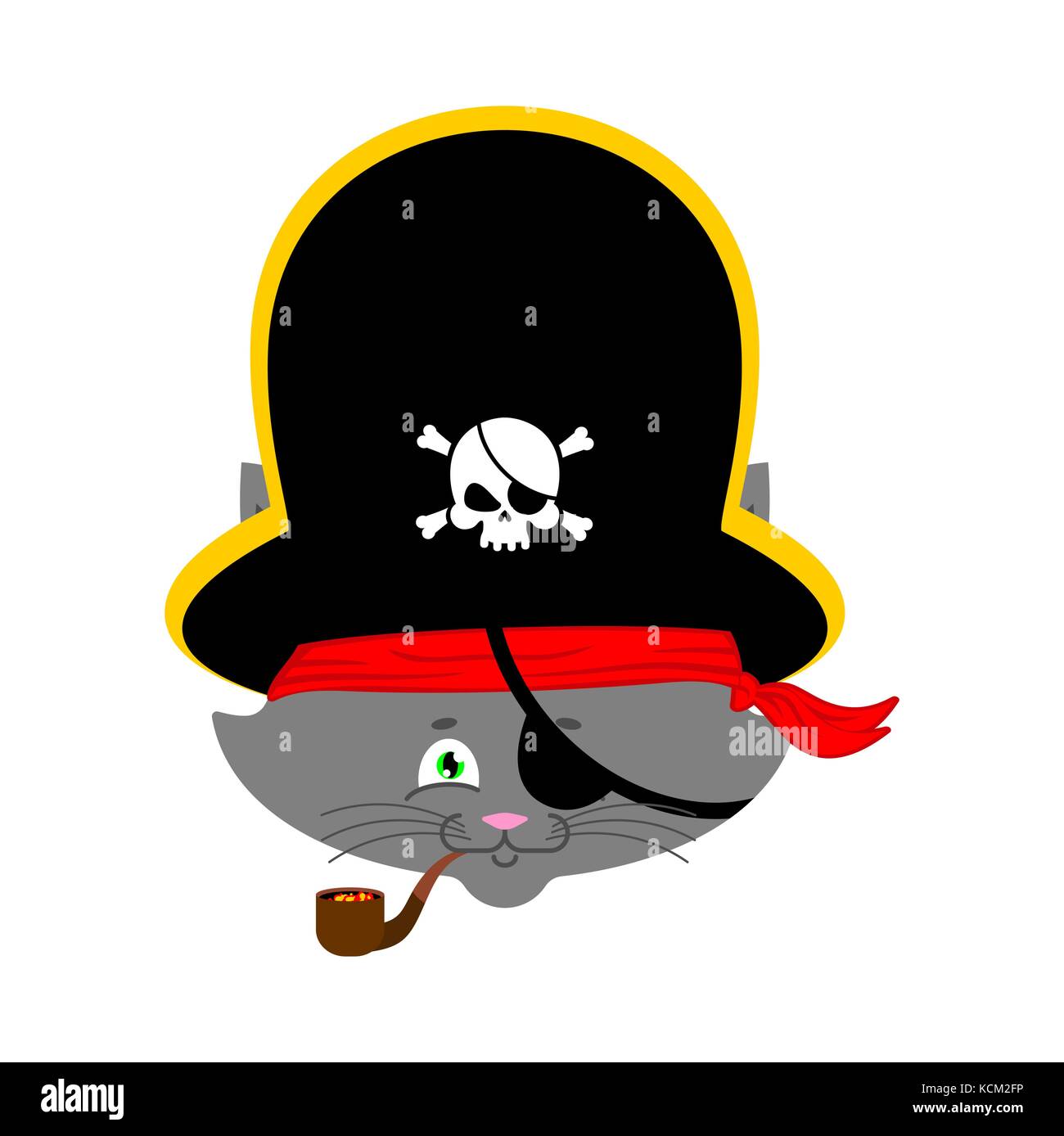 Cat Pirate Accueil Animal Buccaneer Obstruction Hat Et Fumeurs Pipe