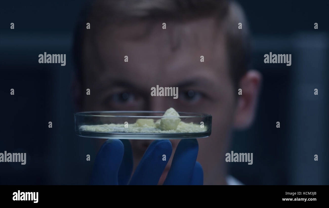 Technicien de laboratoire l'injection de liquide dans une plaque de microtitration. l'expérience scientifique, pétri. scientist holding une boîte de pétri avec cellules virus virus.. concept de laboratoire, Biologie, pétri. Banque D'Images