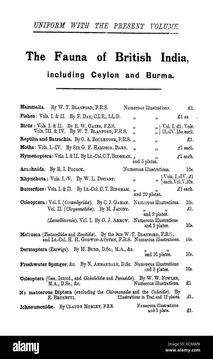 FBI1914 Banque D'Images