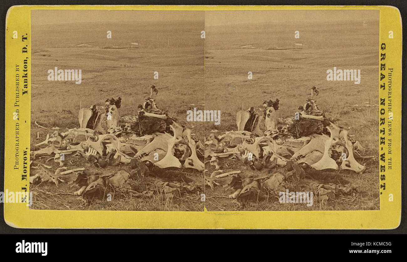Les os à Little Big Horn 1876 Banque D'Images Les os à Little Big Horn 1876 Banque D'Images