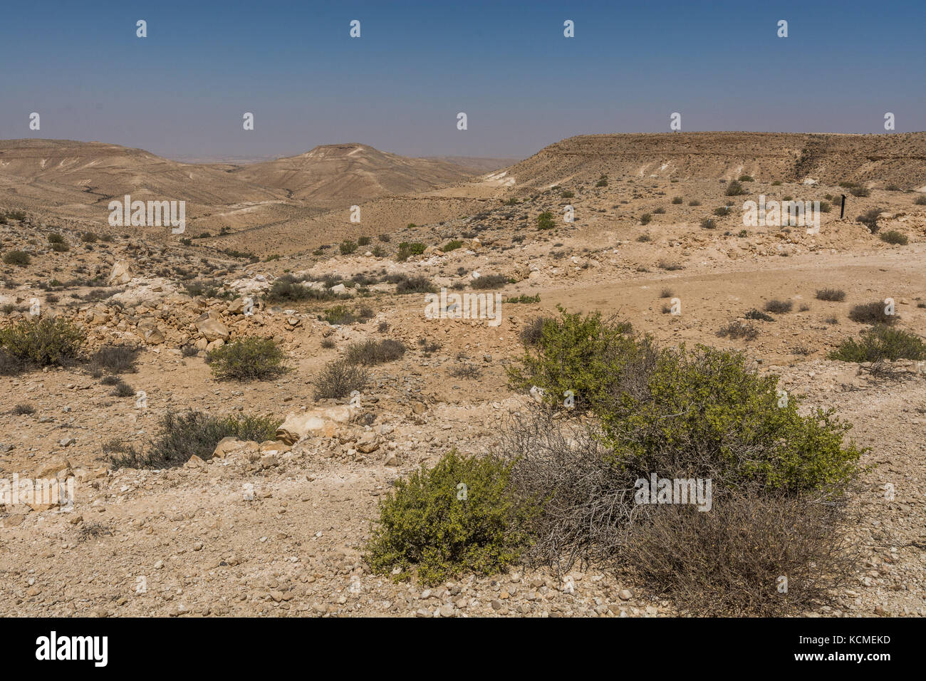 Le sable et les roches du désert du Néguev, Israël Banque D'Images