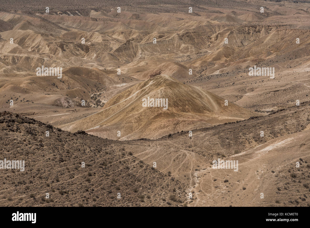 Le sable et les roches du désert du Néguev, Israël Banque D'Images