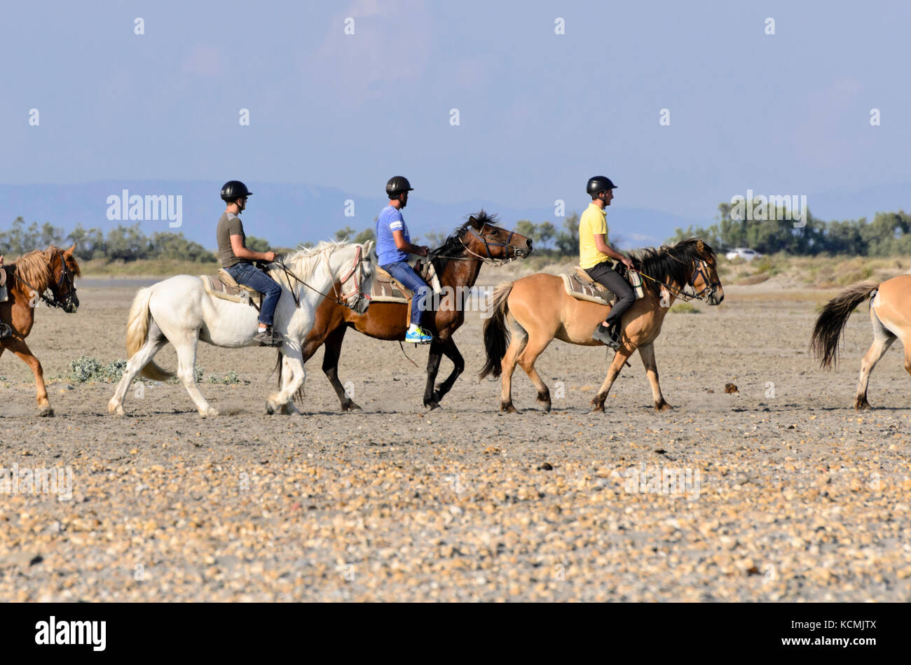Cavaliers sur des chevaux blancs et bruns, camargue, france Banque D'Images