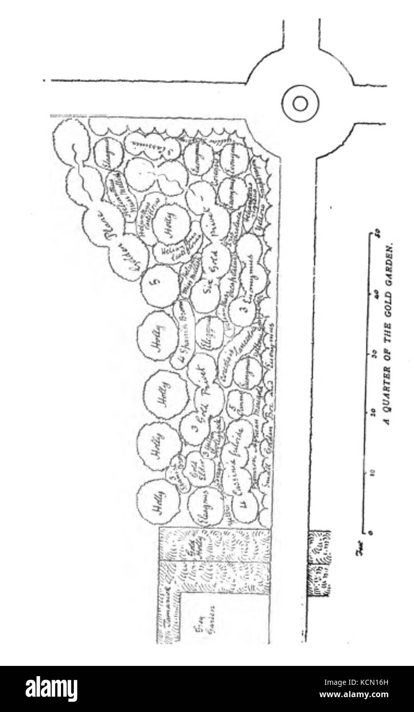 La couleur dans le jardin de fleurs84 Banque D'Images