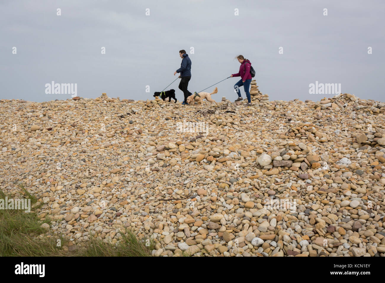 Un couple de propriétaires de chiens soigneusement choisir leur chemin sur les roches et les pierres sur l'Île Sainte, le 27 septembre 2017, sur l'île de Lindisfarne, Northumberland, Angleterre. L'île sacrée de Lindisfarne, également connu simplement comme Holy Island, est une île au large de la côte nord-est de l'Angleterre. Holy Island a une histoire enregistrée à partir de la 6ème ANNONCE de siècle ; il a été un centre important de l'Anglo-saxon, celte et le christianisme. Après les invasions vikings et la conquête normande de l'Angleterre, un prieuré a été rétablie. Banque D'Images