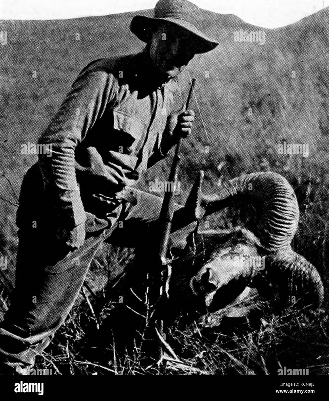 Une photo représentant *Harry R. Caldwell* avec *Mongolian Bighorn*, possiblement dans le contexte de la conservation de la faune ou de la recherche. Banque D'Images