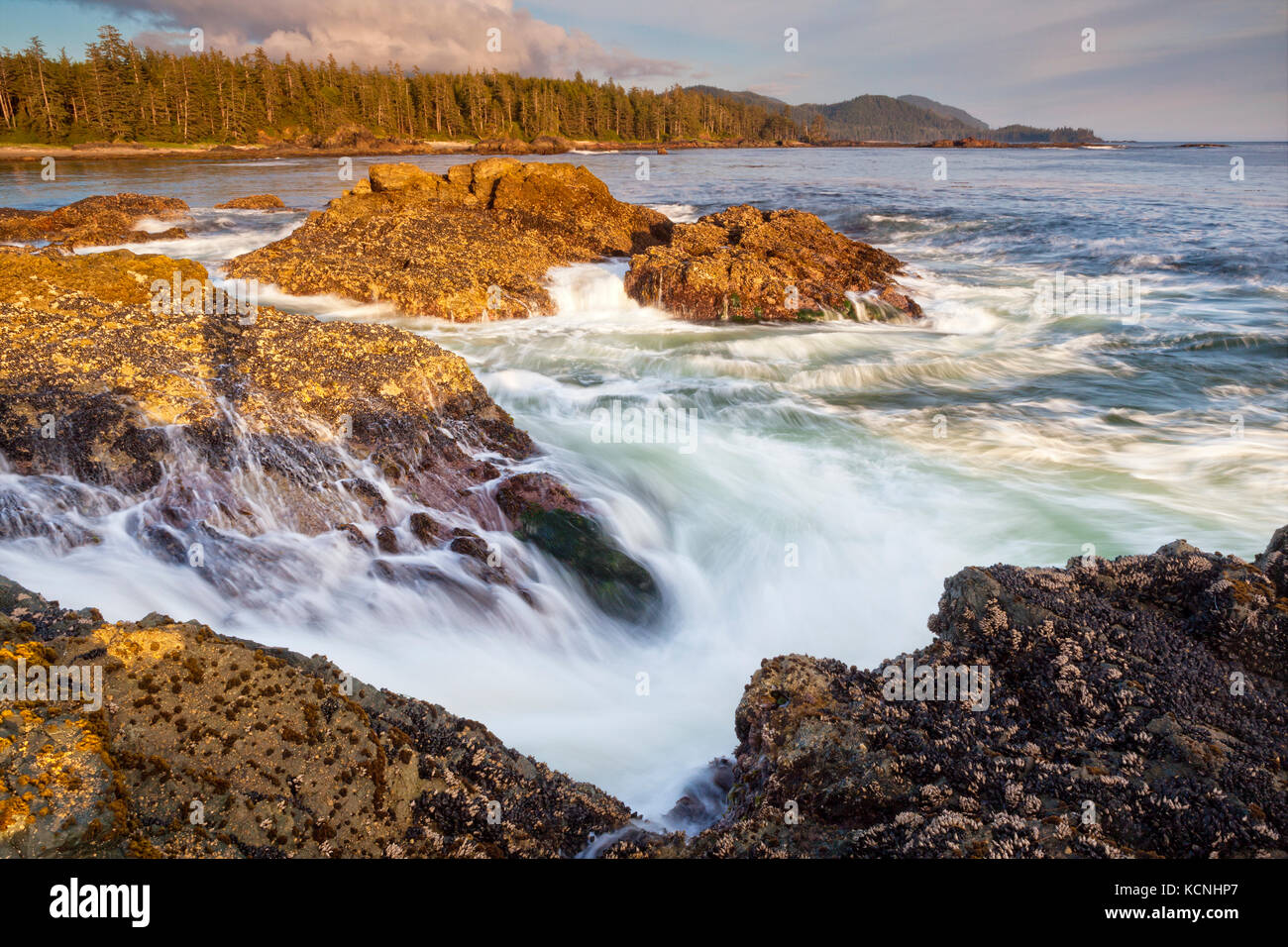 La côte ouest sauvage du nord de l'île de Vancouver, près de Cape Scott provincial park, British Columbia, canada, vagues se brisant le long littoral photographié dans une longue exposition Banque D'Images