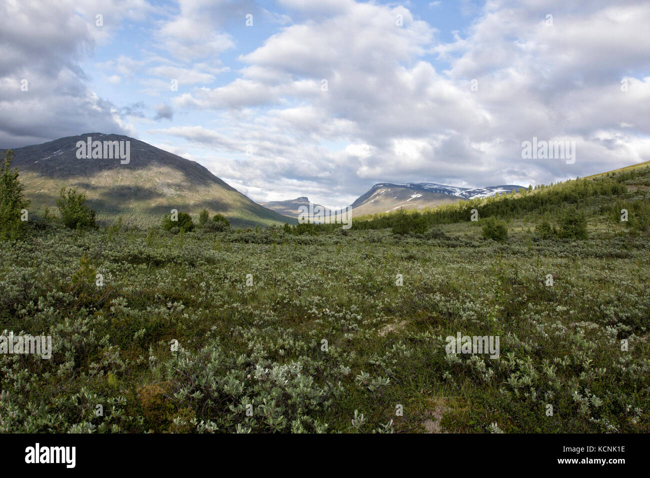 Vue sur le parc national de Jotunheimen en Norvège le jour de l'été Banque D'Images