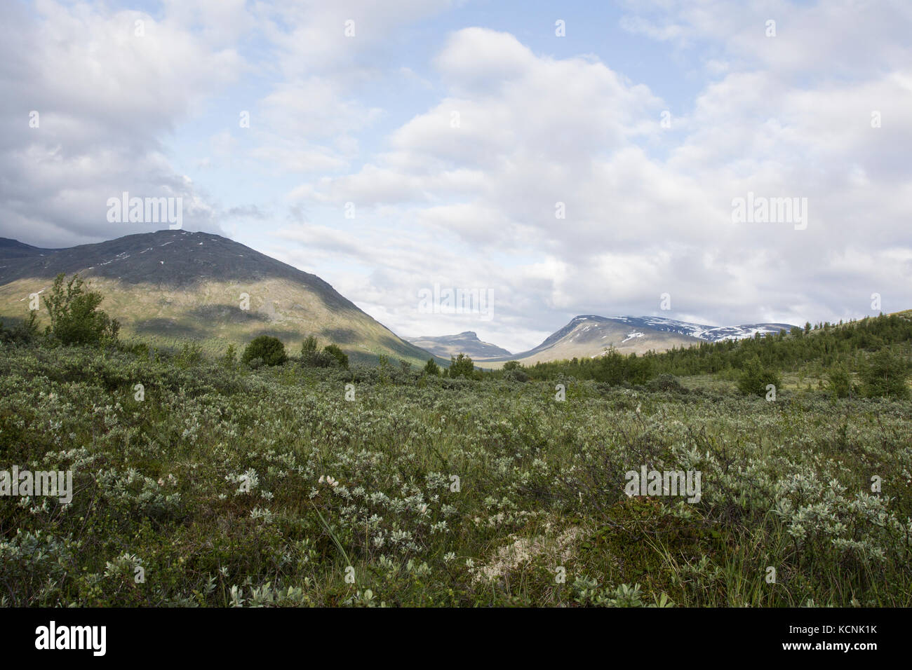 Vue sur le parc national de Jotunheimen en Norvège le jour de l'été Banque D'Images