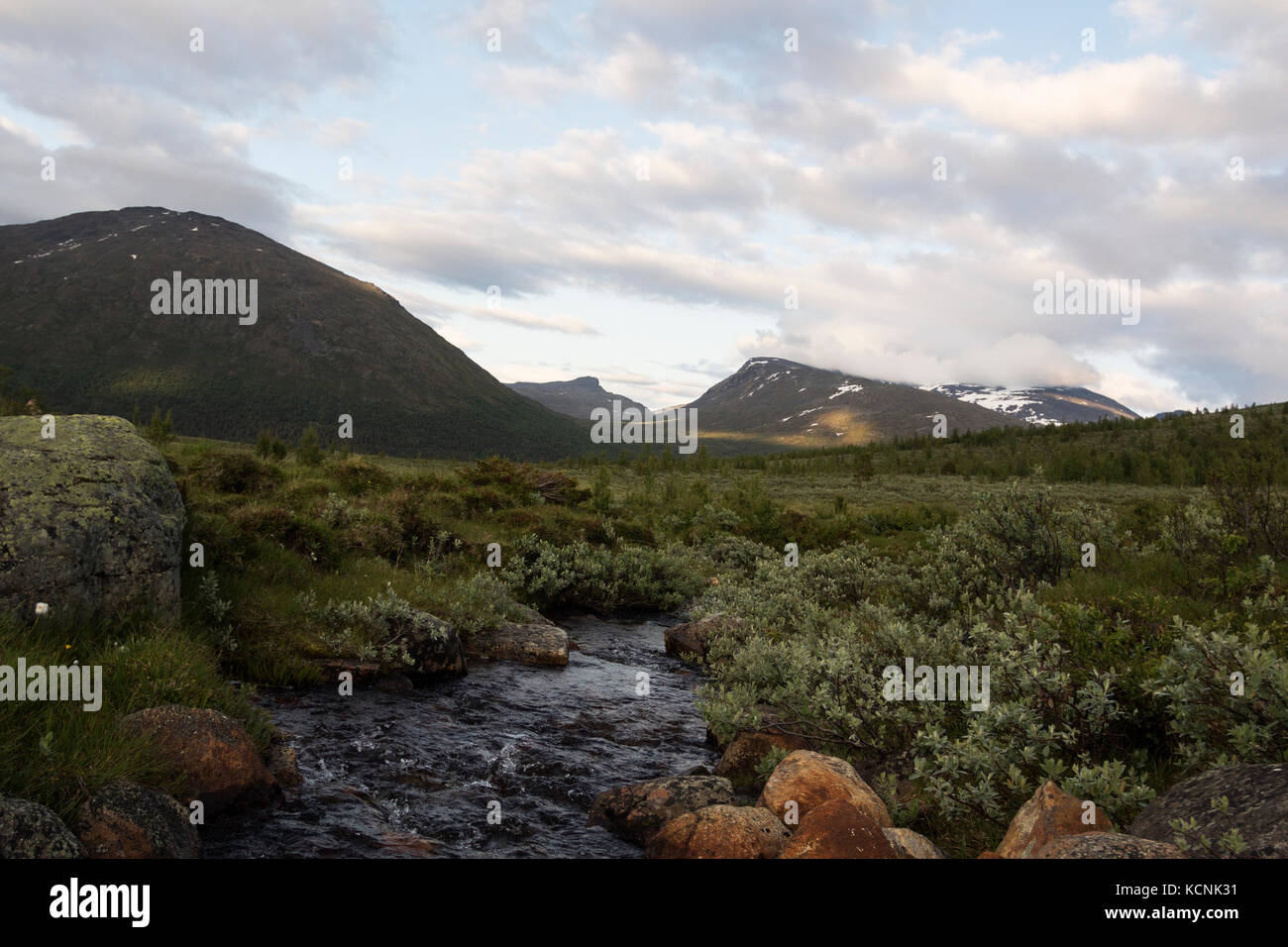 Dans la rivière de montagne jotunheimen salon de printemps Banque D'Images