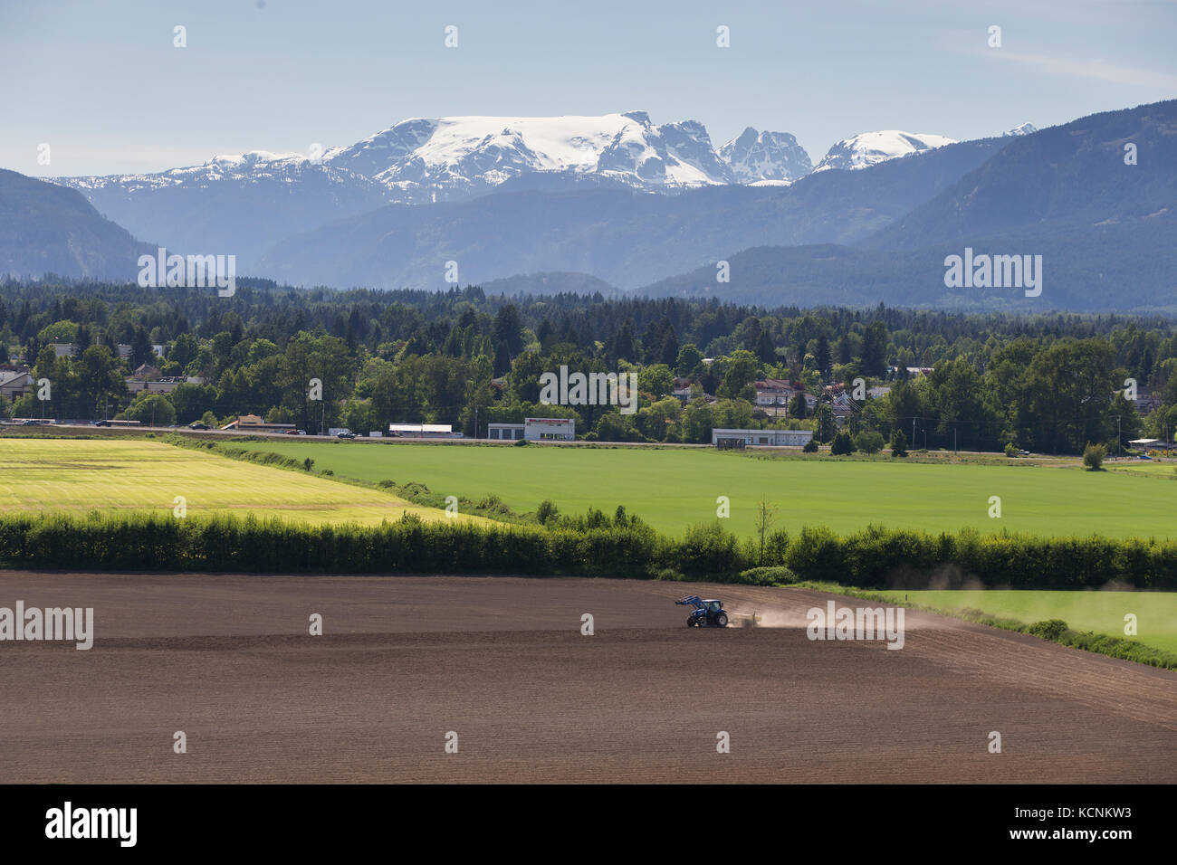 Un agriculteur et son tracteur préparer le terrain pour un nouveau cycle de cultures agricoles sous le glacier Comox, Comox Valley Banque D'Images