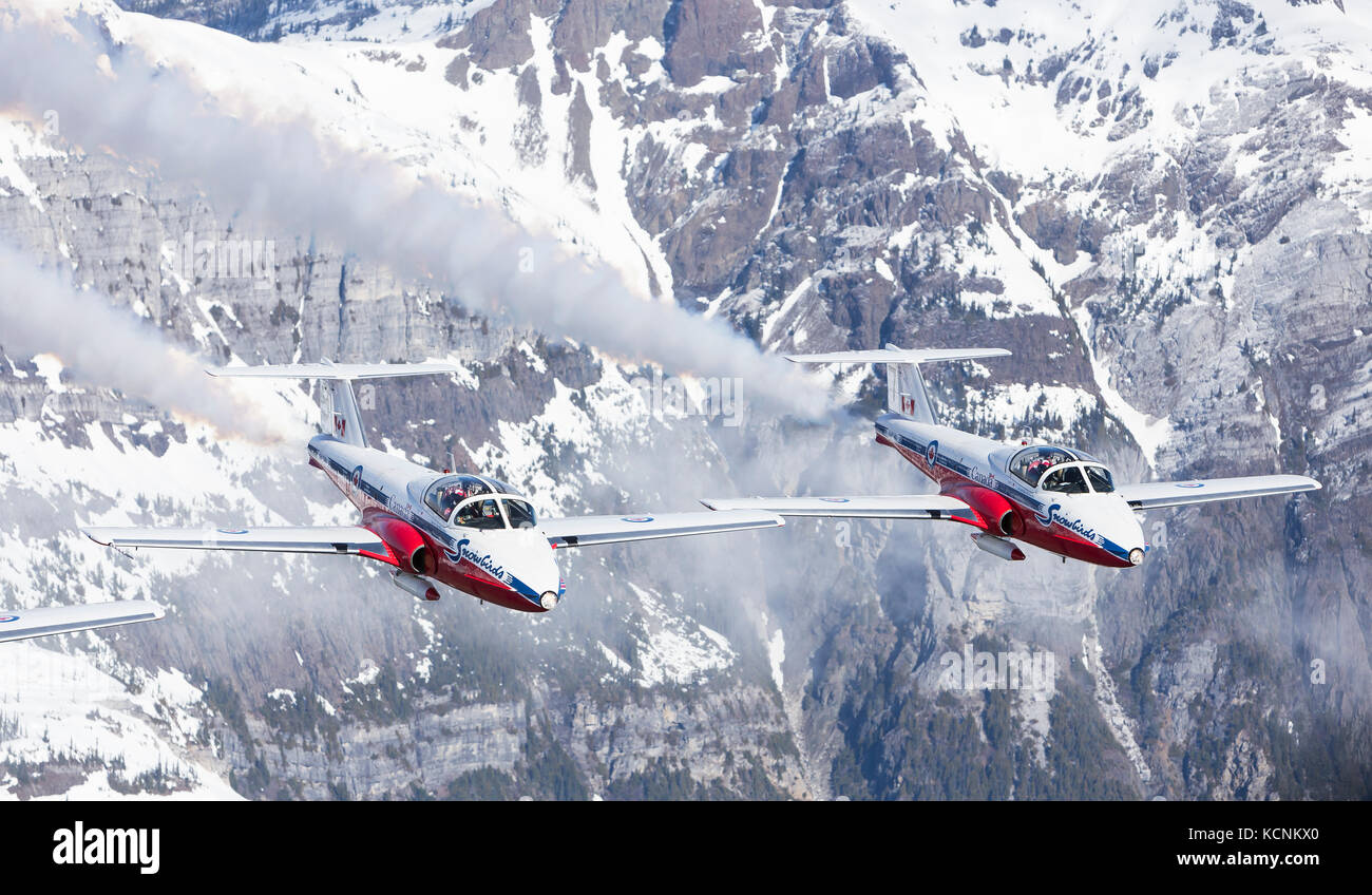 Tudor du canada l'équipe de démonstration de vol, les Snowbirds, vole au-dessus de montagnes dans le parc Strathcona Banque D'Images