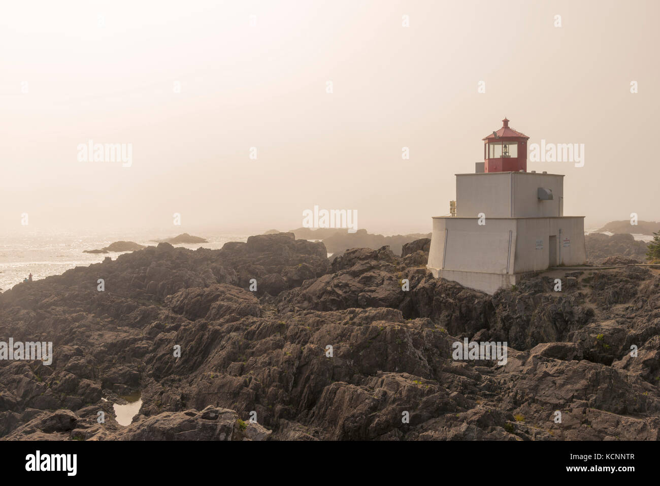 Phare de Amphitrite Point Banque D'Images