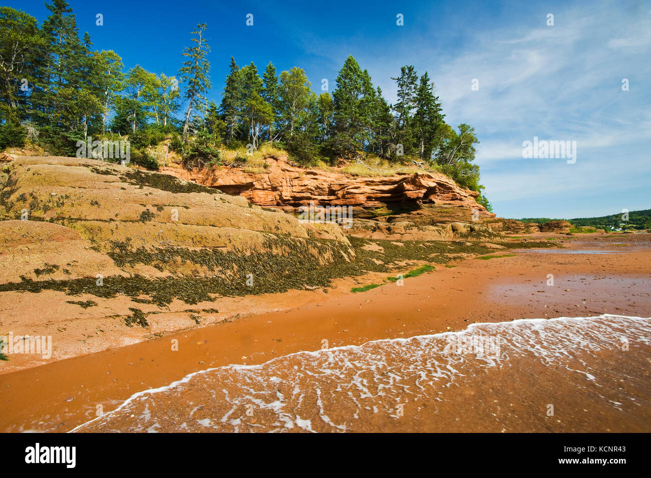 Marée descendante/littoral près de grès, de l'économie dans le bassin Minas, baie de Fundy, en Nouvelle-Écosse Banque D'Images