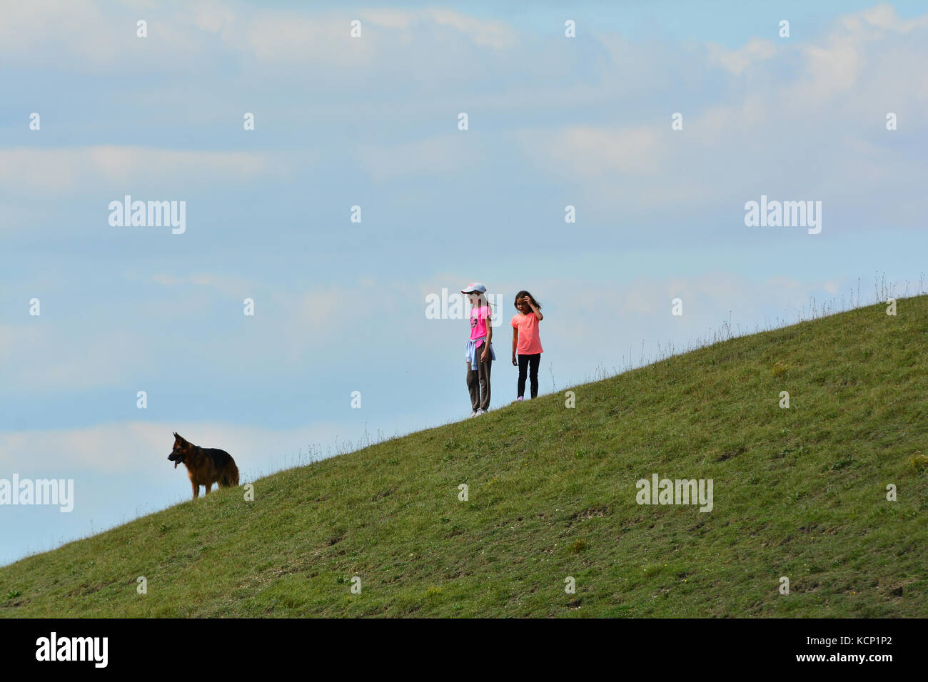 Les jeunes filles avec de gros chien à Barton Hills Réserve naturelle nationale dans le Bedfordshire, Angleterre, RU Banque D'Images