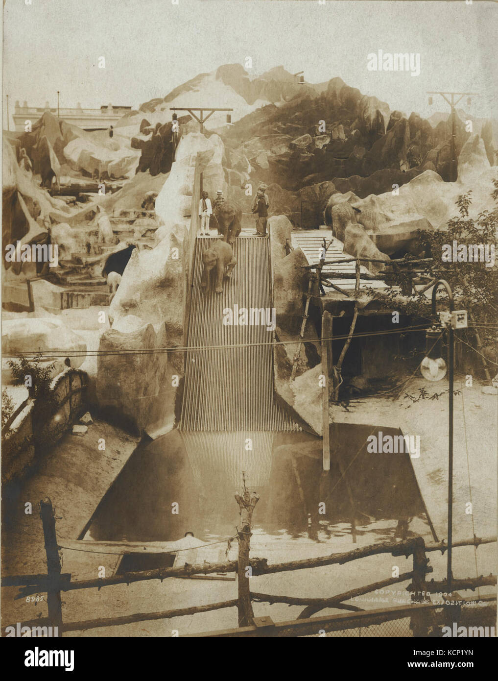 Les éléphants sur la glissière d'eau au paradis des animaux de Hagenbeck et du cirque dans le brochet article de la Foire mondiale de 1904 Banque D'Images