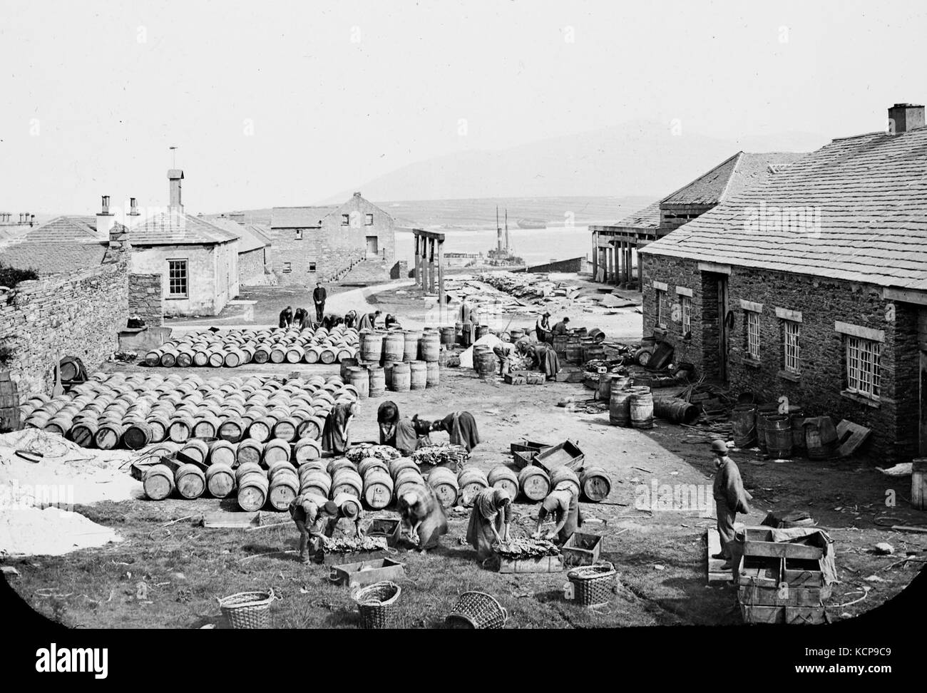 Bâtiments par mer. Les hommes et les femmes, le poisson, les barils, les tas de sel. Fumeurs de salage du poisson. (26586676091) (portrait) Banque D'Images