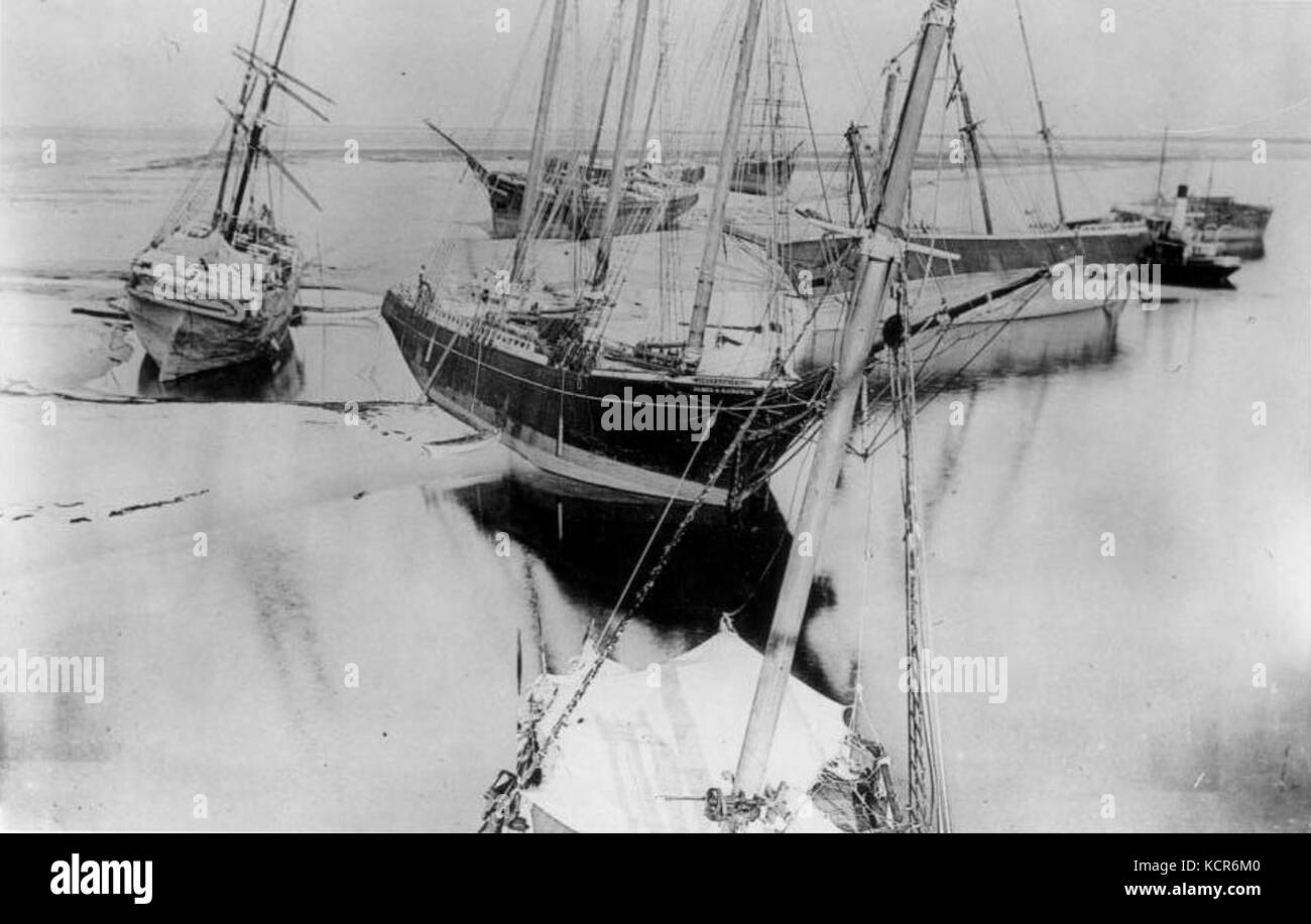 Naufrages de l'île de chien rc04263 Banque D'Images