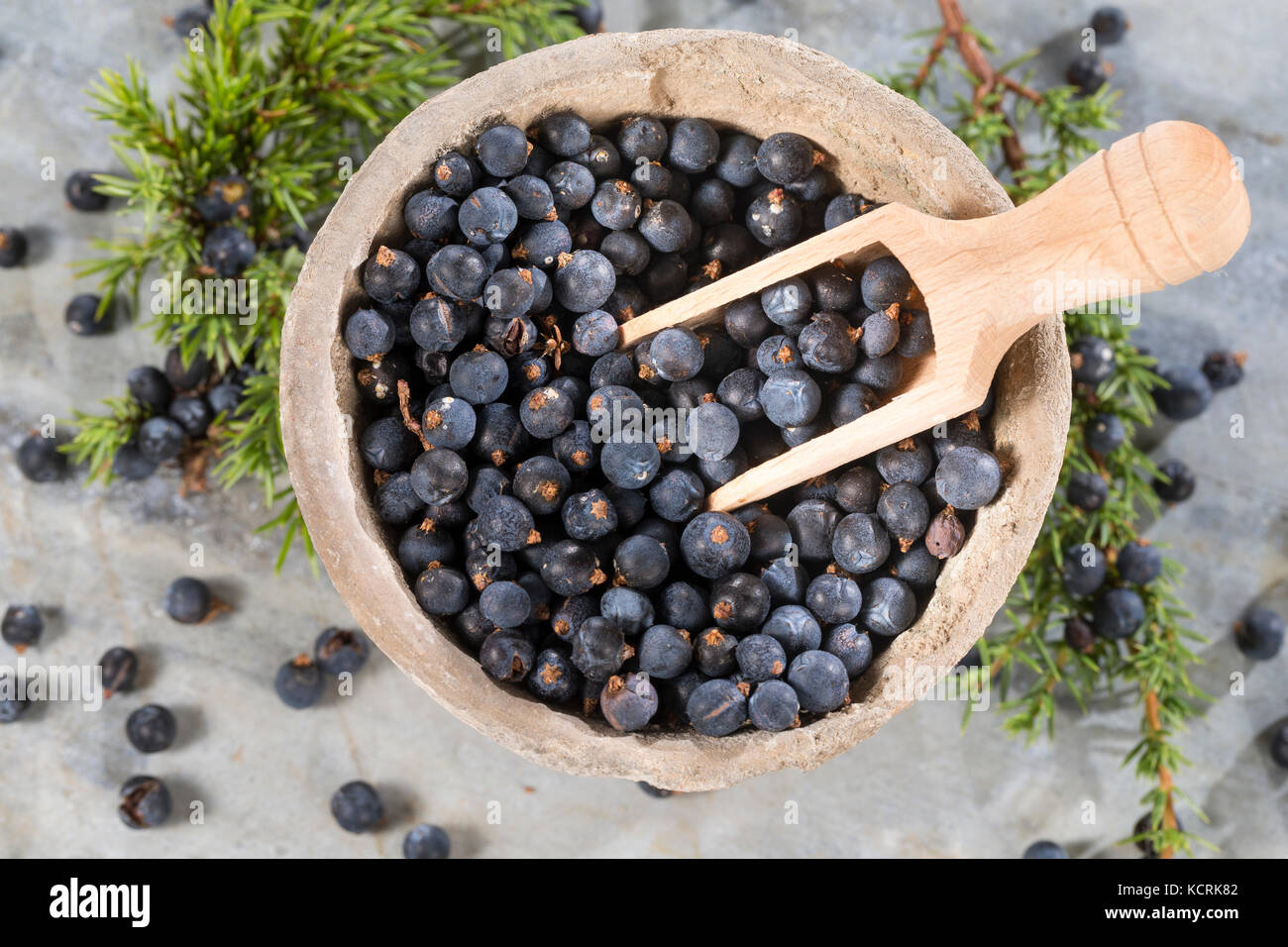Wacholderbeeren, Wachoder-Beeren, Gemeiner Wachoder, Heide-Wachoder, Heidewacholder, Juniperus communis, Juniper commun, Juniper, le Genévrier comm Banque D'Images