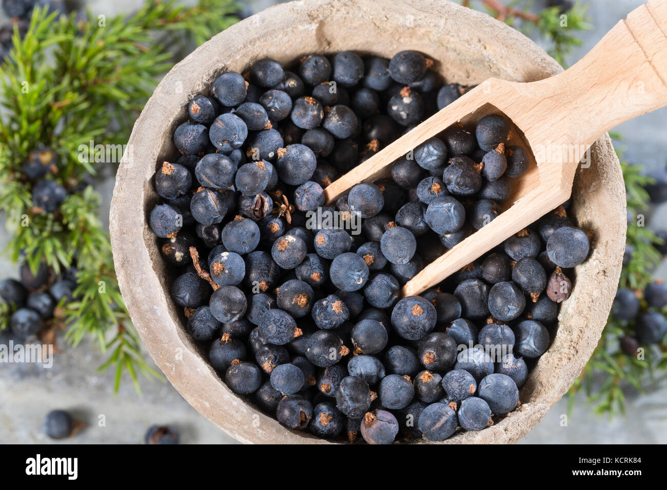 Wacholderbeeren, Wachoder-Beeren, Gemeiner Wachoder, Heide-Wachoder, Heidewacholder, Juniperus communis, Juniper commun, Juniper, le Genévrier comm Banque D'Images