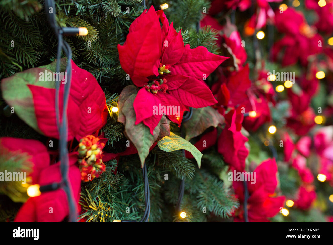 Close up de l'arbre de Noël avec des décorations florales Banque D'Images