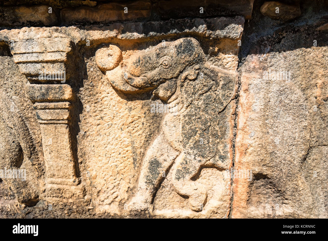 Sculptures d'éléphants de Polonnaruwa au Sri Lanka Banque D'Images