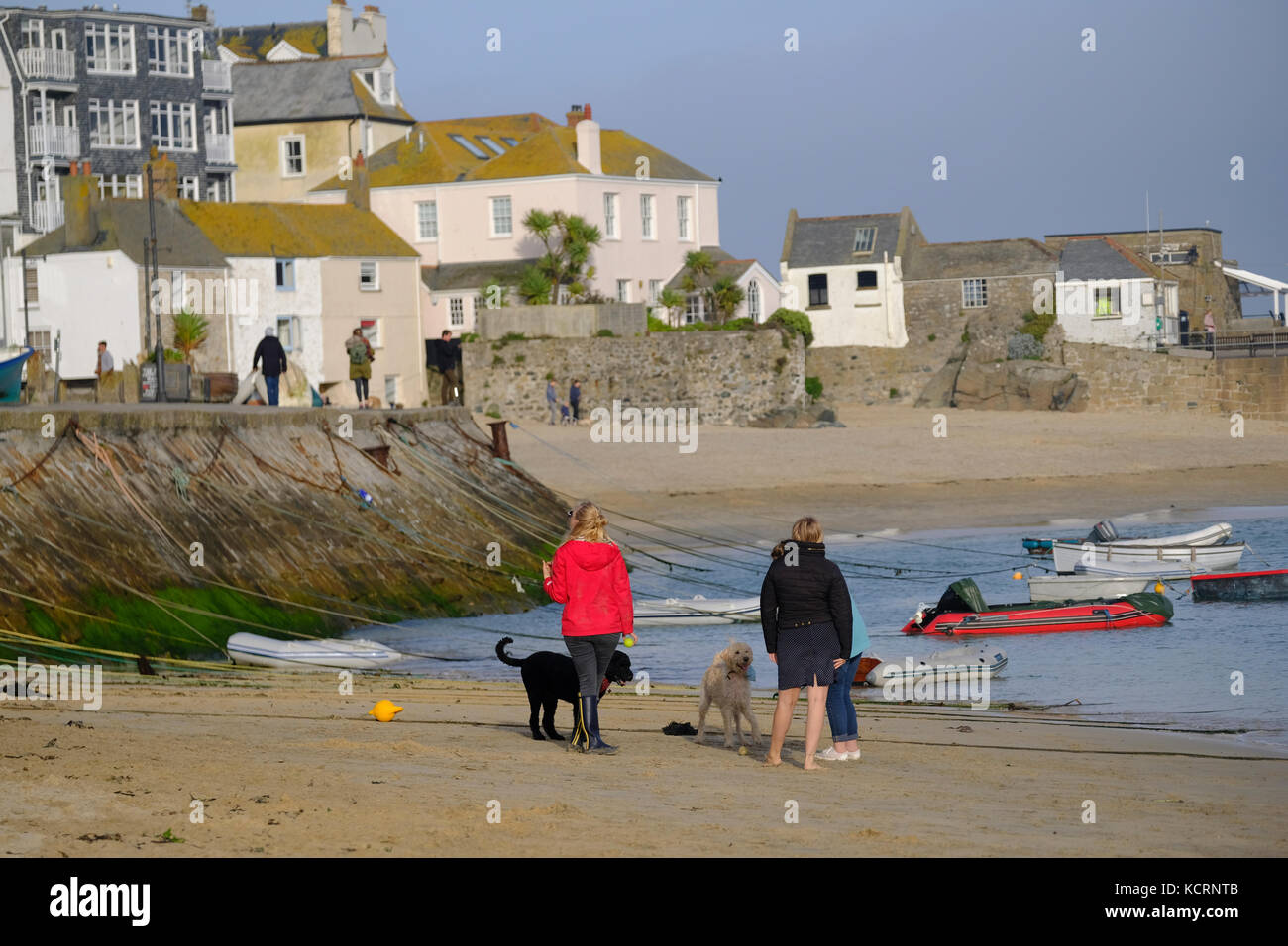 Le 1er octobre et les chiens sont admis sur les plages de St Ives. Banque D'Images