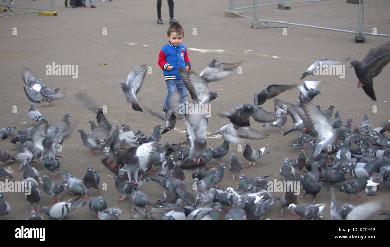 George square Glasgow'petit garçon jouer avec les pigeons Banque D'Images