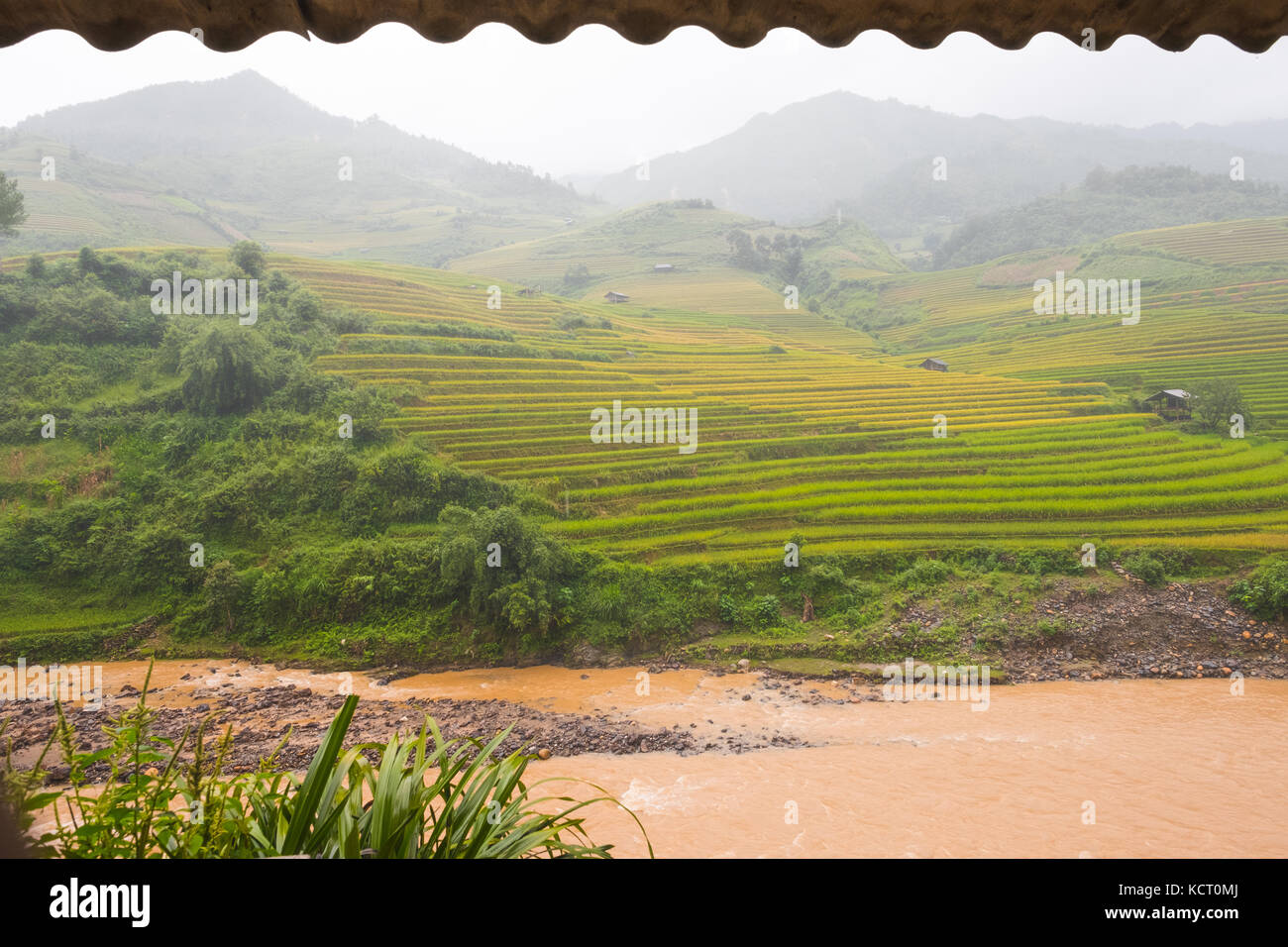 Magnifique paysage de champs de riz en terrasse mu cang chai, Vietnam Banque D'Images